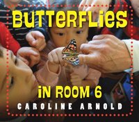 bokomslag Butterflies in Room 6