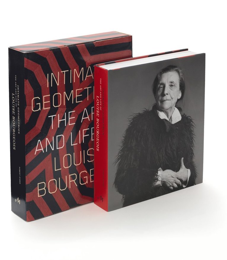 Robert Storr - Intimate Geometries, Inbunden