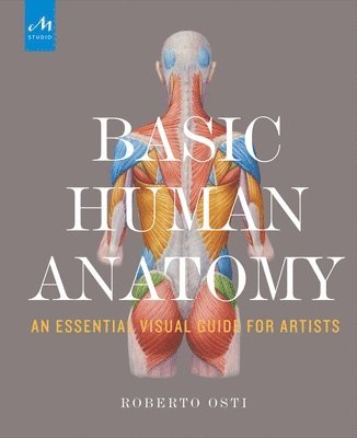 Basic Human Anatomy 1