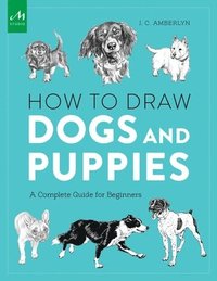 bokomslag How to Draw Dogs and Puppies
