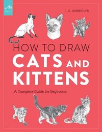 bokomslag How to Draw Cats and Kittens