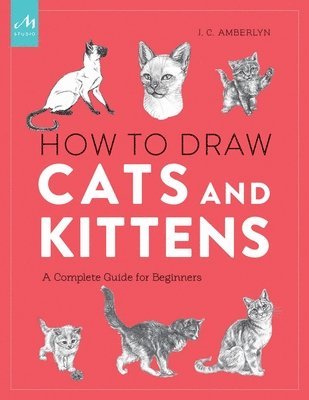How to Draw Cats and Kittens 1