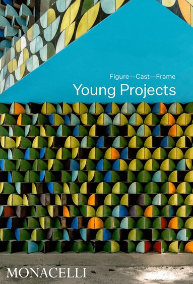 Bryan Young - Young Projects, Inbunden