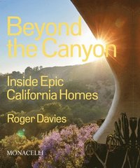 bokomslag Beyond the Canyon