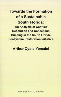 bokomslag Towards the Formation of a Sustainable South Florida