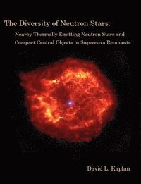 bokomslag The Diversity of Neutron Stars