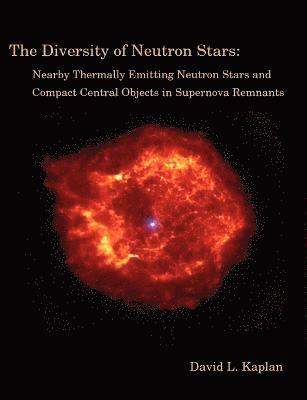 David L Kaplan - Diversity of Neutron Stars, Häftad