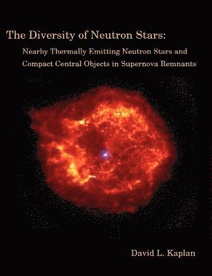 The Diversity of Neutron Stars 1