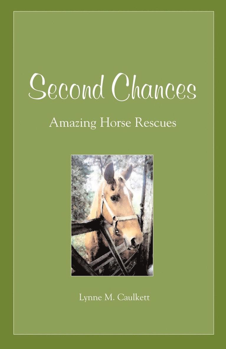 Second Chances 1