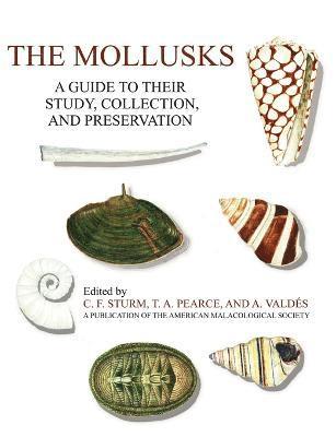 bokomslag The Mollusks