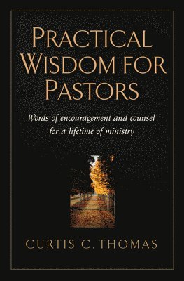 bokomslag Practical Wisdom for Pastors