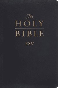 bokomslag The holy bible - english standard versio