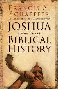 bokomslag Joshua and the Flow of Biblical History