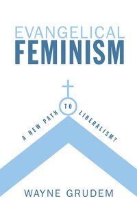 bokomslag Evangelical Feminism