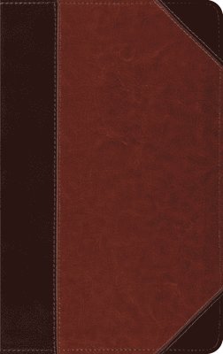 bokomslag ESV Thinline Bible