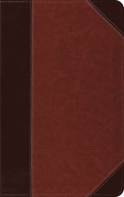 bokomslag Thinline Bible-ESV-Portfolio Design
