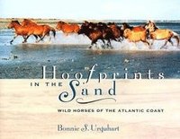 bokomslag Hoofprints In The Sand