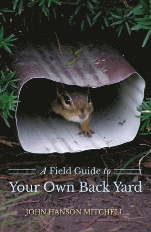 Field Guide to Your Own Back Yard