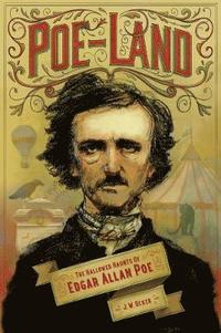 bokomslag Poe-Land