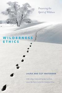 bokomslag Wilderness Ethics