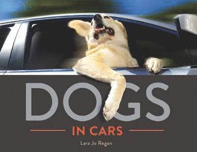 bokomslag Dogs in Cars