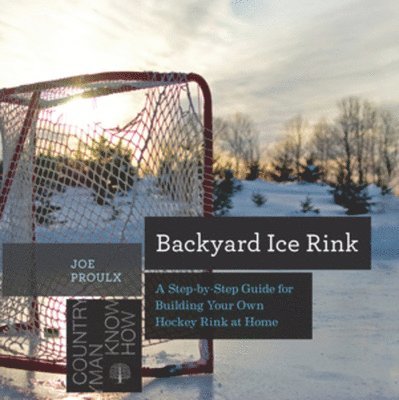 Backyard Ice Rink 1