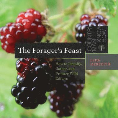 The Forager's Feast 1