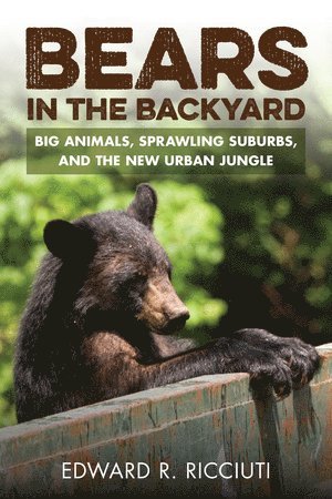 Bears in the Backyard 1