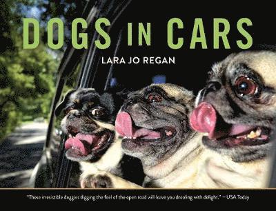 Dogs in Cars 1