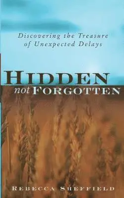Rebecca Sheffield - Hidden, Not Forgotten, Häftad. Tillgänglighet: Lägg i varukorg