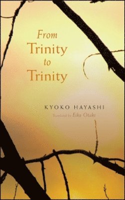 bokomslag FROM TRINITY TO TRINITY