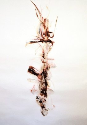 George Quasha - Scorned Beauty Comes Up From Behind, Häftad