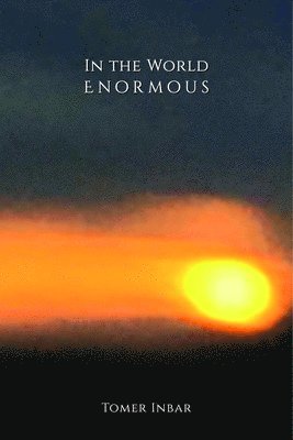 Tomer Inbar - In the World Enormous, Häftad