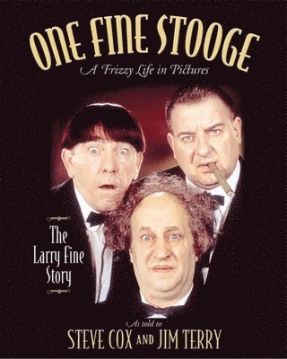 bokomslag One Fine Stooge