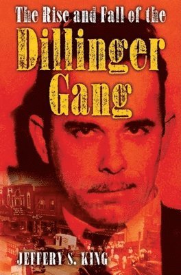 bokomslag The Rise and Fall of the Dillinger Gang