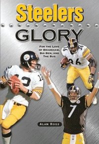 bokomslag Steelers Glory