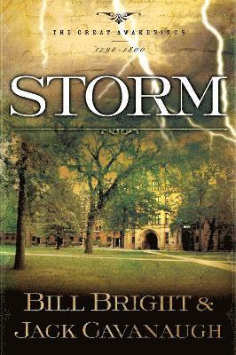 bokomslag Storm: Volume 3