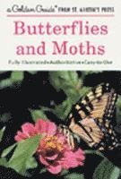 bokomslag Butterflies and Moths