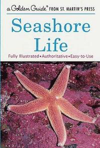bokomslag Seashore Life