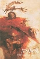 David Hine, Steve Niles - Spawn: The Book Of The Dead, Inbunden