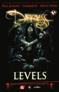 bokomslag The Darkness: Levels