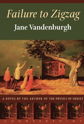 Jane Vandenburgh - Failure to Zigzag, Häftad