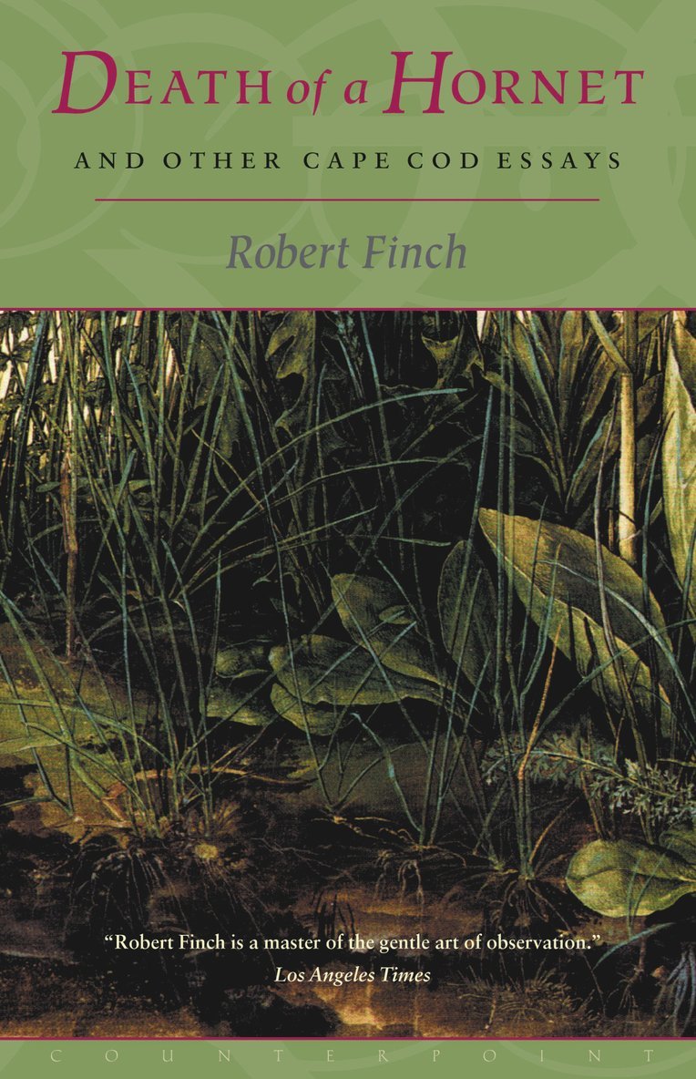 Robert Finch - Death of a Hornet and Other Cape Cod Essays, Häftad