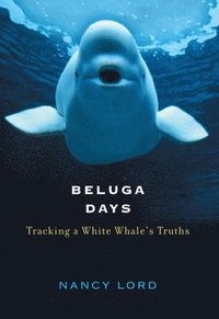 bokomslag Beluga Days