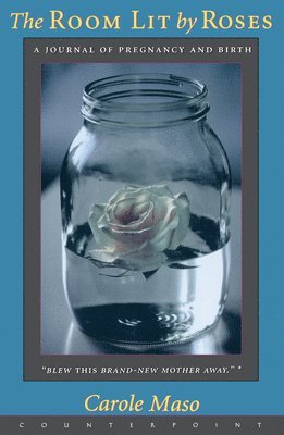 Room Lit by Roses