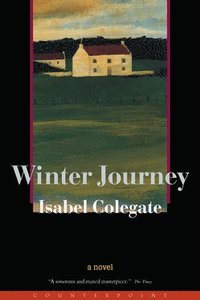 bokomslag Winter Journey