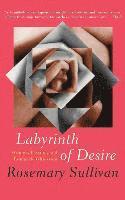 bokomslag Labyrinth of Desire