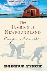 bokomslag The Iambics Of Newfoundland