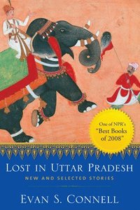 bokomslag Lost in Uttar Pradesh: New and Selected Stories