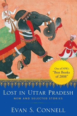 bokomslag Lost in Uttar Pradesh: New and Selected Stories